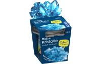 Blaue Kristalle selbst züchten