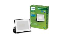 Philips Outdoor Flutlicht Lois