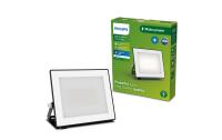 Philips Outdoor Flutlicht Lois