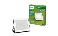 Philips Outdoor Flutlicht Lois