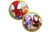 Ball Spidey Ø 13 cm Vinylball