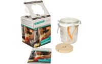Weck Fermentierset Le Parfait Terrines