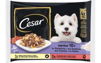 Cesar Senior Beutel 10+ Gelee 4x100g