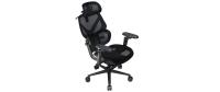 ThunderX3 FLEX Pro Gaming Chair