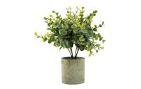Dekomat Eucalyptus im Topf 24 cm, grün