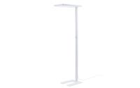 OFFICE FOCUS Stehleuchte Basic 35W