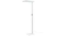 OFFICE FOCUS Stehleuchte Medium 80W