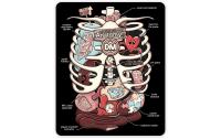 Anatomy of the DM Sticker
