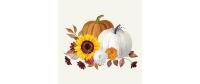 B+C Servietten Pumpkin blanc de blanc