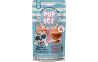 Pup Ice Waffle Cones Erdbeere