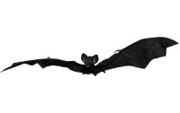 Dekomat Fledermaus, Schwarz