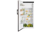 Electrolux Kühlschrank EK242SLBR