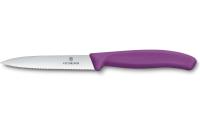 Victorinox Classic Gemüsemesser 10cm viol.