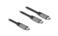 Delock USB-Y-Kabel C, 1.2m, 100W