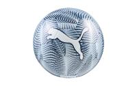 PUMA Ball PUMA FINAL Graphic