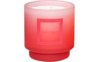 AVA & MAY Duftkerze Wild Berry Spritz