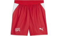 PUMA Shorts SFV Replica