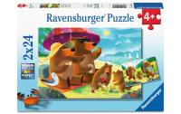 Bear Family Vacations 2x24p