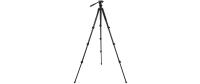 Celestron Stativ Regal Premium