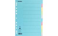 NOVOOO Kartonregister bunt A4