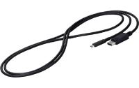 EIZO USB-C to DP, 2m