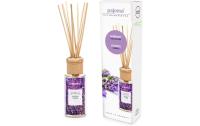 Pajoma Raumduft Lavendel Modern Line