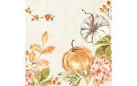 Duni Servietten Bio DSF Spicy Pumpkin