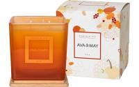AVA & MAY Duftkerze Pumpkin Pie, 550g