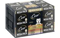 Cesar Landragout 4 Varietäten 24x150g