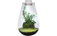 BioArt Pflanz-Terrarium Drop 285 mit LED