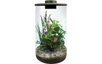BioArt Pflanz-Terrarium Cylinder 285 mitLED