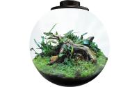 BioArt Pflanz-Terrarium Bowl 225 mit LED