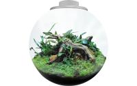 BioArt Pflanz-Terrarium Bowl 225 mit LED