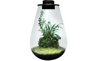 BioArt Pflanz-Terrarium Drop 285 mit LED
