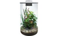 BioArt Pflanz-Terrarium Cylinder 285 mitLED