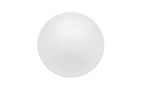 Rosenthal TAC weiss Speiseteller 28 cm