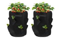 STRUCT Pflanzentasche Erdbeeren 2er Set