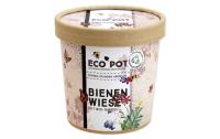 Bienenwiese BIO