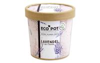 Lavendel BIO