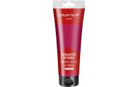 Caran dAche Gouache Studio Tube