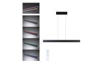 LED Pendelleuchte Raiko RGBW+ dimmbar 2300