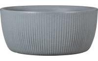 Scheurich Linetto Bowl