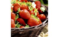 Paper+Design Servietten Strawberries