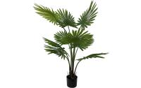 present time Kunstpflanze Fan Palm