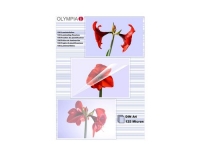 Olympia Laminierfolien DIN A4