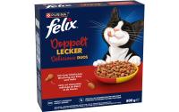 Felix Doppelt Lecker Adult Fleisch 800g