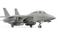Tamiya Grumman F-14 D Tomcat