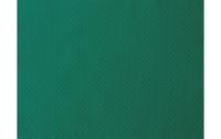 Duni Tischset Papier 30x40cm jägergrün