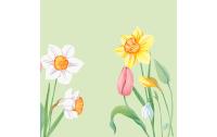 Duni Servietten 4-lagig Spring Melody