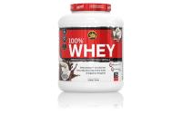 All Stars Whey Protein 100%